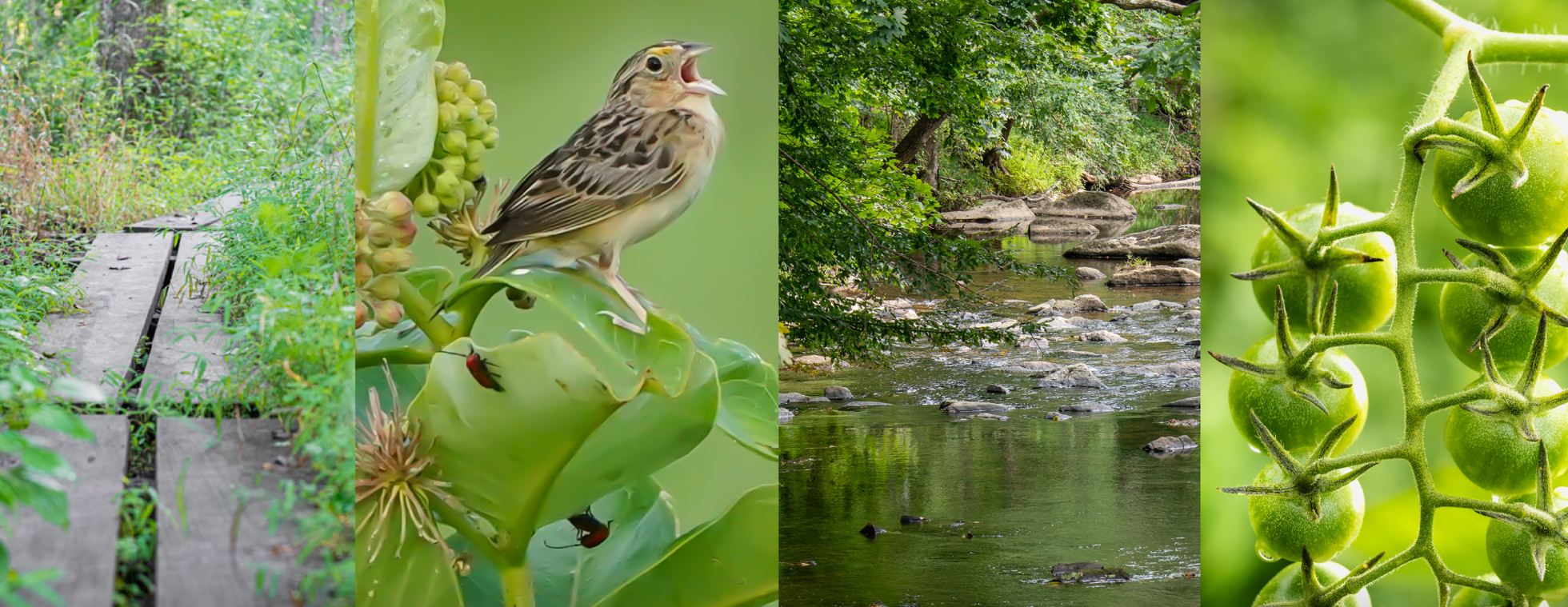 ECOcentric Experience | Farming with Nature & Honey Bees | September 25